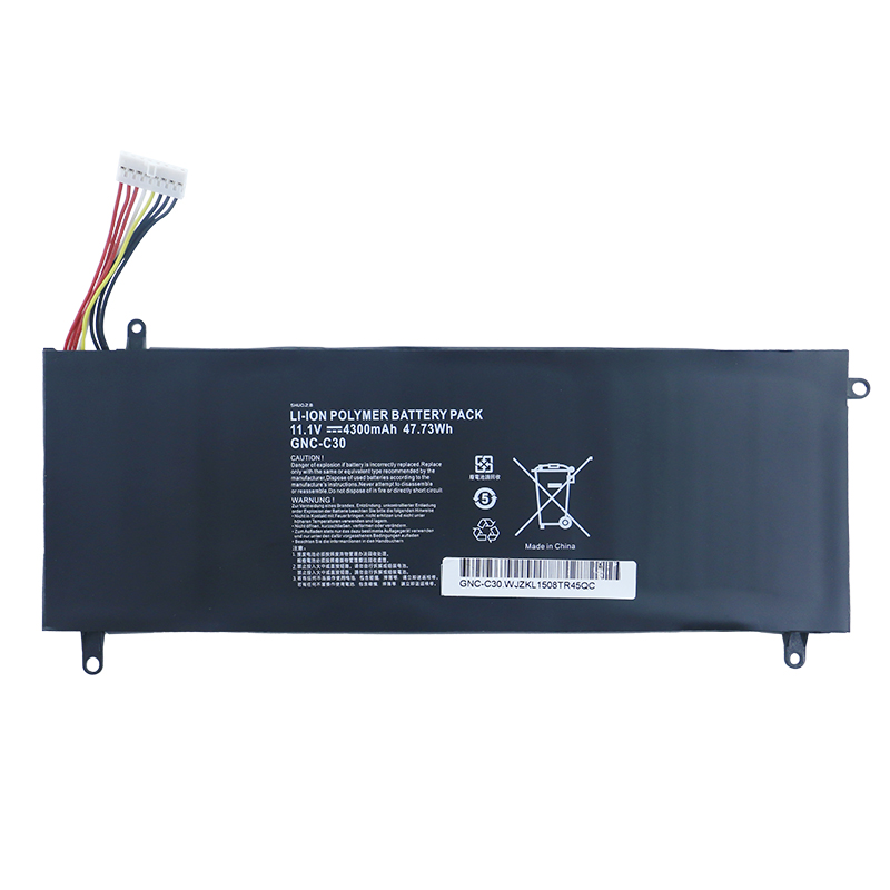 ����GIGABYTE����U2442 U24F P34G V2 GNC-C30�����ñʼǱ����